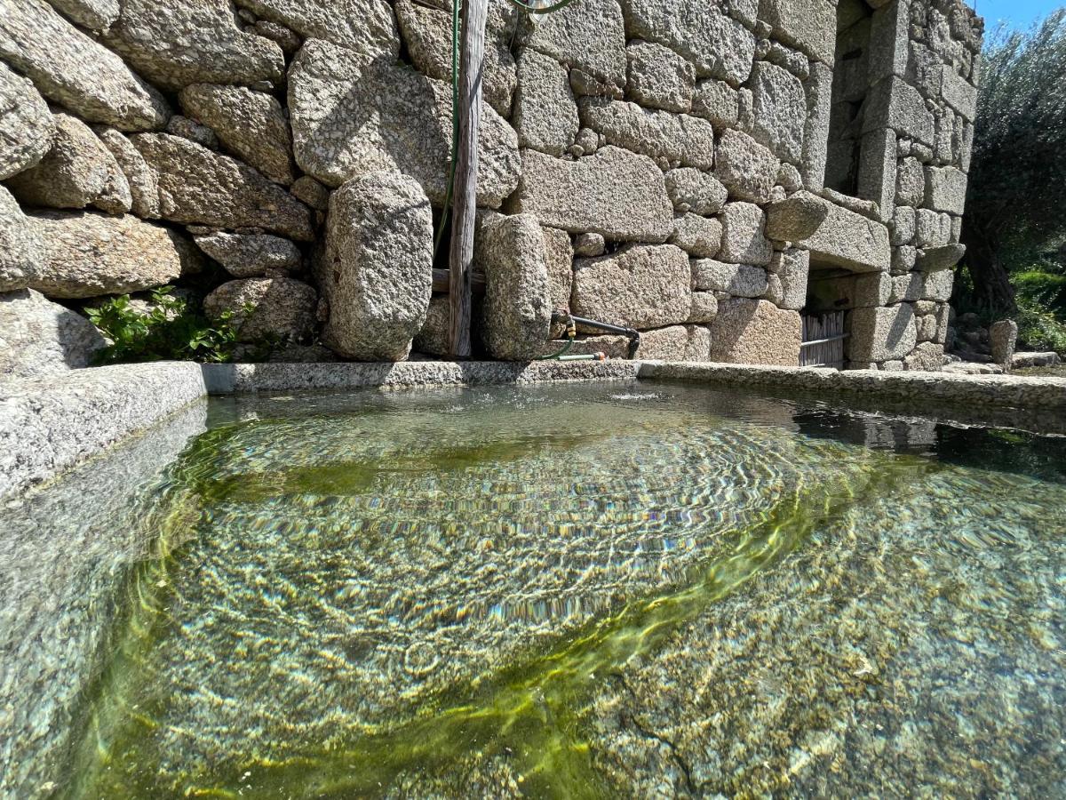 Casa Botica - Geres Country House テーラス・デ・ボウロ エクステリア 写真